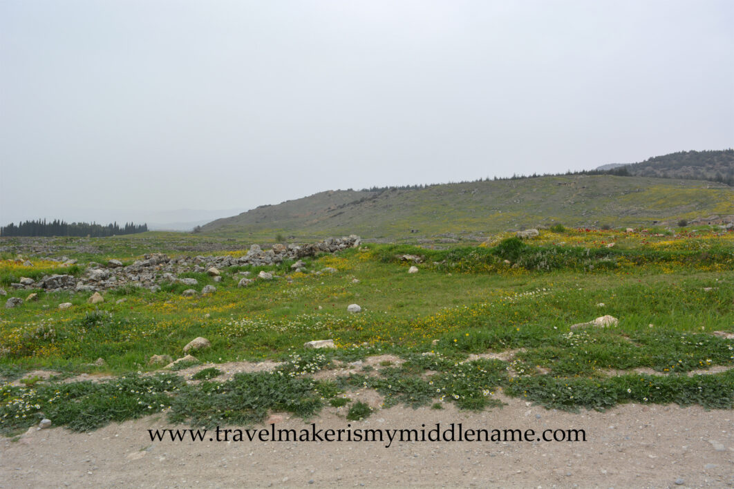 The hilly landscapes of Hierapolis-Pamukkale park covered in with green vegetation, dotted with small yellow flowers and large, grey stones on a grey cloudy day in Türkiye.
