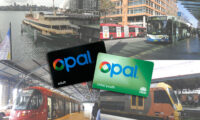 A composite image showing photos of a Sydney ferry, bus, light rail, and train in counter clockwise order from top left to bottom left, with a black adult and green child Opal card in the middle.