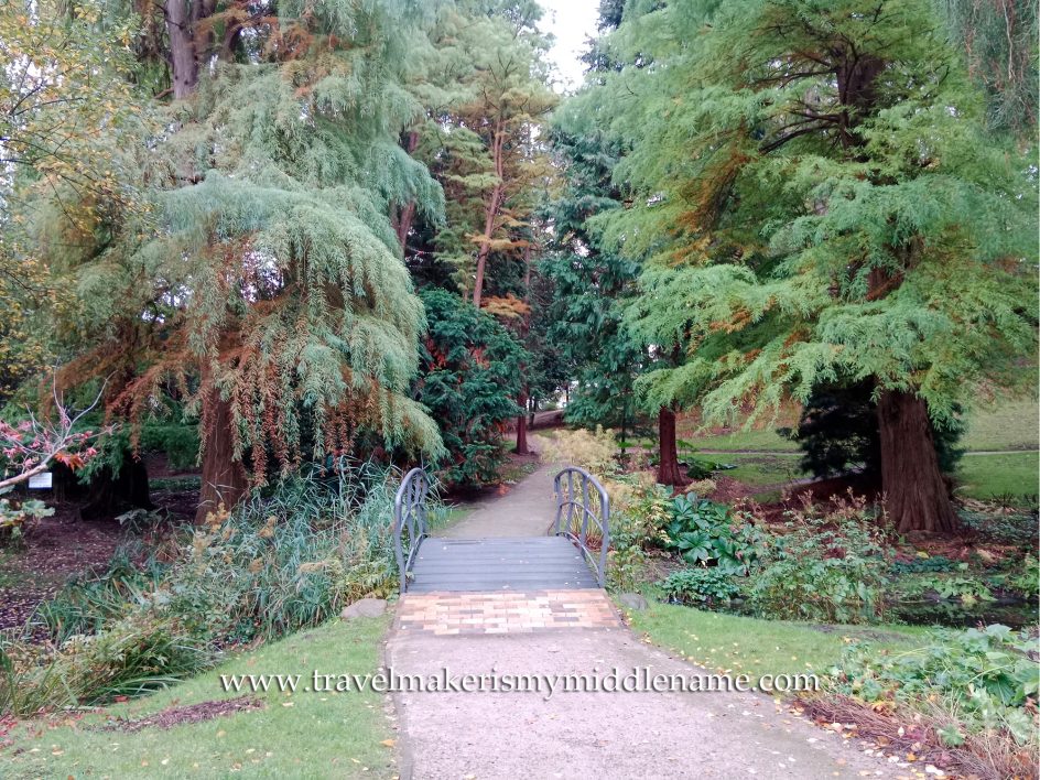 Many varieties of greenery in the old botanical garden with a footpath in it.