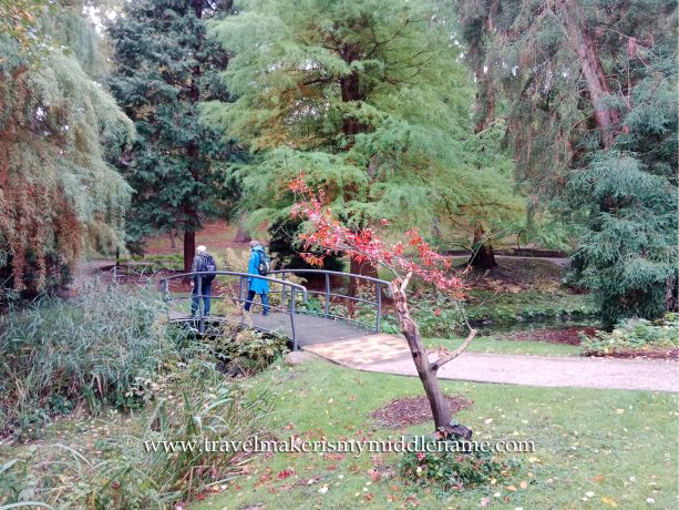 Two people walking in the Alter Botanischer Garten